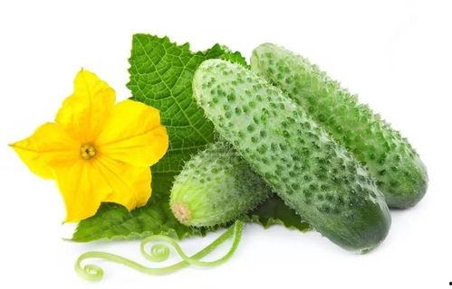 沈玉珠吃瓜系统,揭秘娱乐圈幕后真相