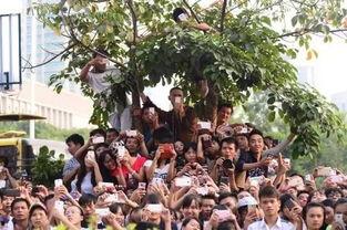 广西柳州吃瓜群众,吃瓜群众的夏日盛宴