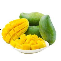 财政人员吃瓜,揭秘财政圈里的“瓜田”趣事